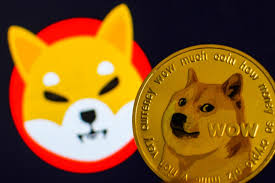 Shiba Inu سومین توکن محبوب در شبکه اتریوم