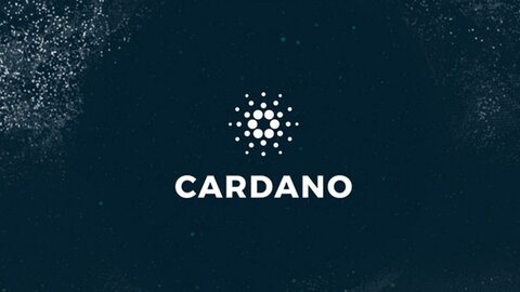 بازگشت نهنگ‌های برتر $ADA به بزرگترین درصد عرضه در دو سال اخیر