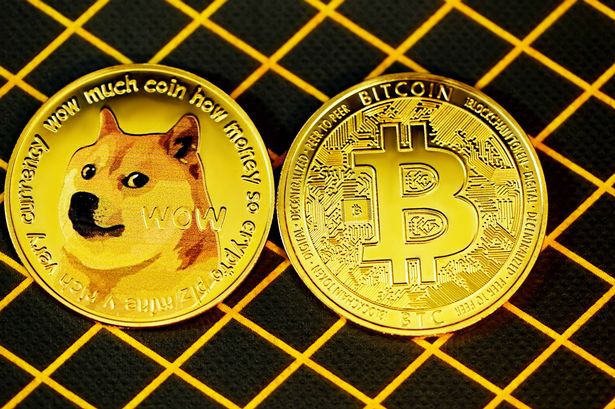 خرید با بیت‌کوین و شیبا اینو در یک فروشگاه جواهرات