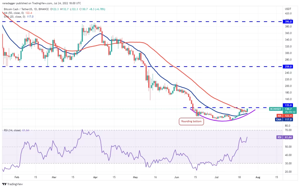 نمودار روزانه BCH/USDT