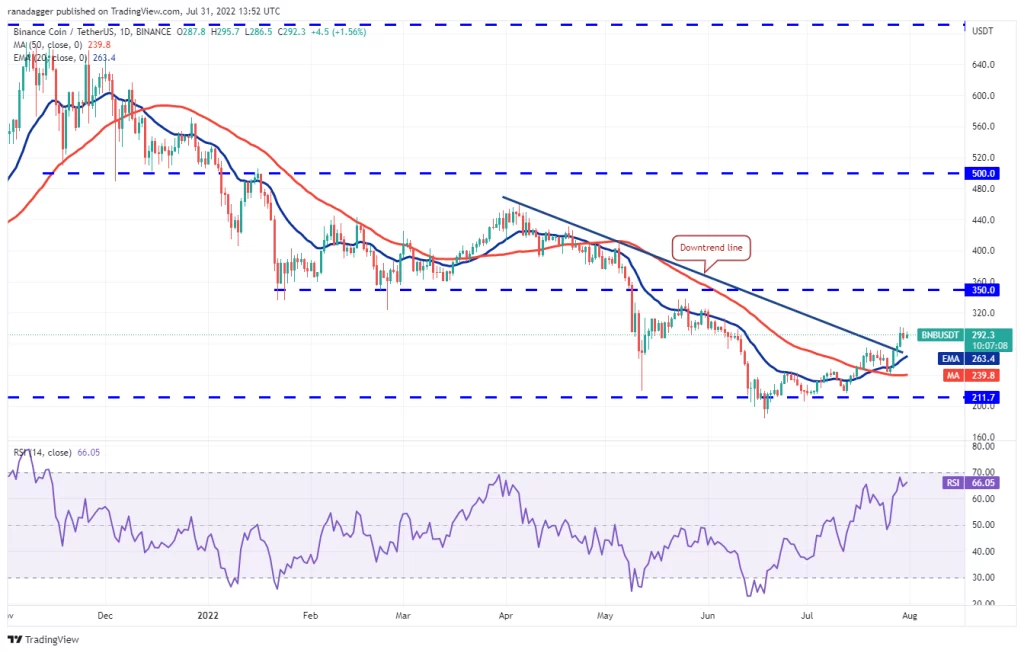 نمودار روزانه BNB/USDT