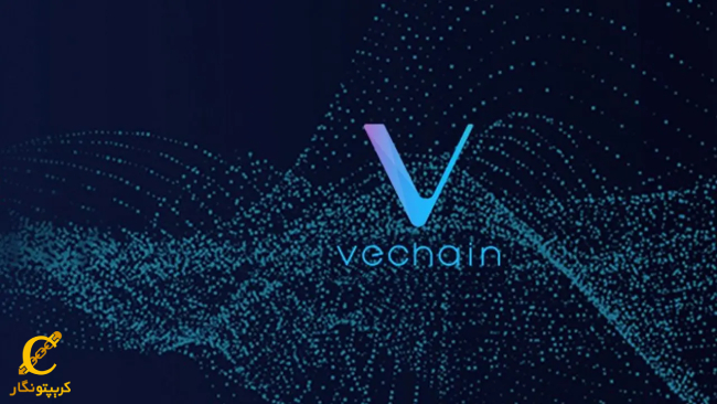 vet in vechain