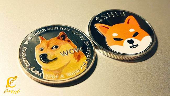 شیبا اینو (Shiba Inu)
